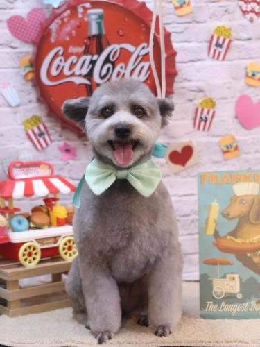 20230923シルヴァくん